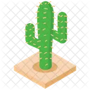 Cactus  Icono