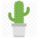 Cactus  Icono