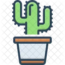 Cactus  Icono