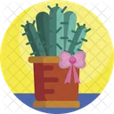 Regalos Regalo Cactus Icono