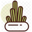 Cactus Icono