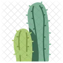 Cactus Planta Verde Icono