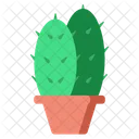 Cactus Planta Naturaleza Icono