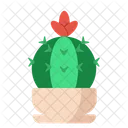 Cactus Jardin Planta Icono