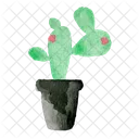 Cactus Plant Nature Icon