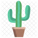 Cactus Pot Cacti Icon