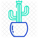 Cactus  Icon