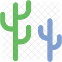 Cactus  Icon