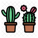 Cactus  Icon