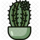 Cactus Jardin Postre Icono