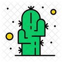 Cactus  Icon