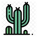 Cactus Planta Naturaleza Icono