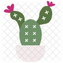 Cactus  Icon