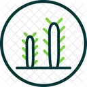 Cactus  Icon