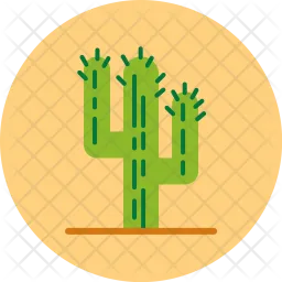 Cactus  Icono