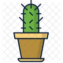 Cactus Planta Desierto Icono