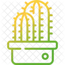 Cactus  Icon