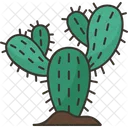 Cactus  Icono