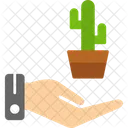 Cactus  Icon