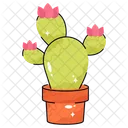 Cactus  Icono