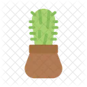 Cactus  Icon