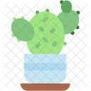 Cactus Indoor Plants Plant Pot Icon