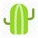 Cactus  Icono