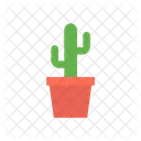 Cactus Plant  Icon