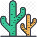 Cactus Plant  Icon