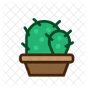 Kaktus Flat Copy Cactus Plant Icon