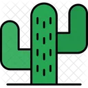 Cactus Plant  Icon