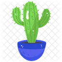 Cactus Plant  Icon