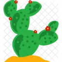 Cactus Plant  Icon