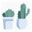 Cactus Pot  Icon