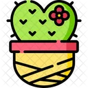 Cactus Pot  Icon