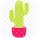 Cactus Pot  Icon