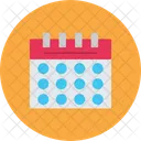 Calendar Data Schedule Icon