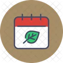 Calendar  Icon