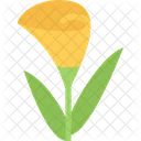 Calla Flower Nature Icon