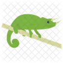 Camaleon Reptil Animal Icono