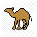 Camel  Icon