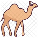 Camel  Icon