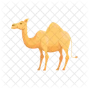 Camel Desert Mammal Icon