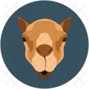 Camel  Icon