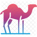 Camel  Icon