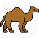 Camel  Icon