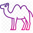 Camel Animal Desert Icon