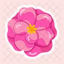 Flower Stickers Blooming Flowers Spring Flowers Icon