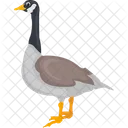 Canadian Goose  Icon