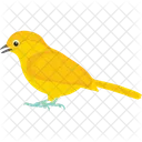 Canary  Icon